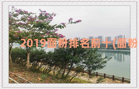 2019面粉排名前十(面粉 排名)